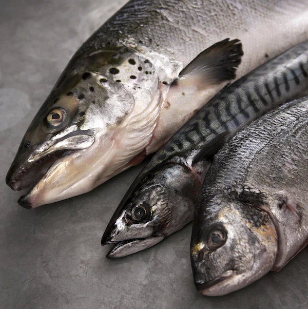 Masterclass in Fish & Shellfish - Image 4